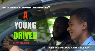Young Drivers and Higher Premiums: Understanding Insurance Cost Factors