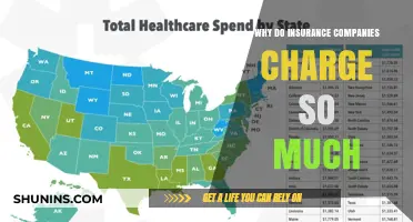Why Insurance Premiums Skyrocket: Uncovering the Hidden Costs