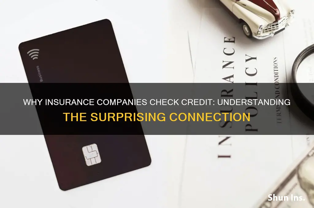 why do insurance companies check credit