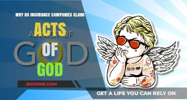 Acts of God: Why Insurance Companies Invoke Divine Exceptions