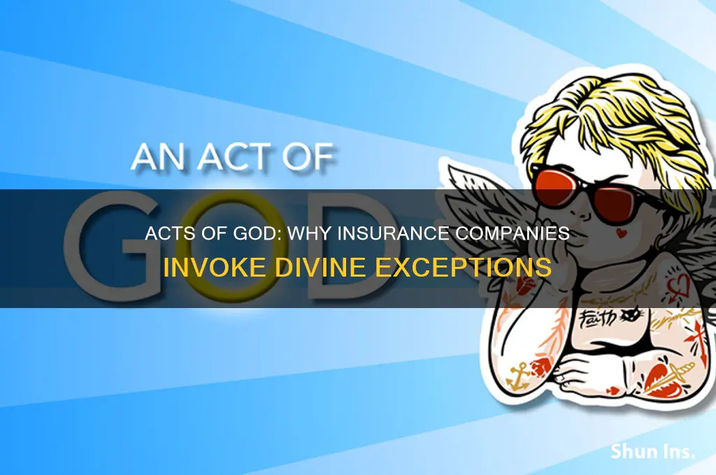 why do insurance companies claim acts of god