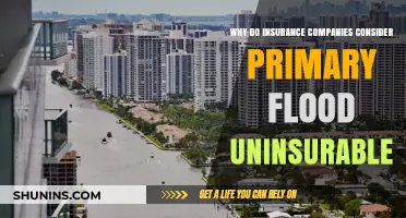 Primary Flood Risks: Why Insurers Deem Them Uninsurable