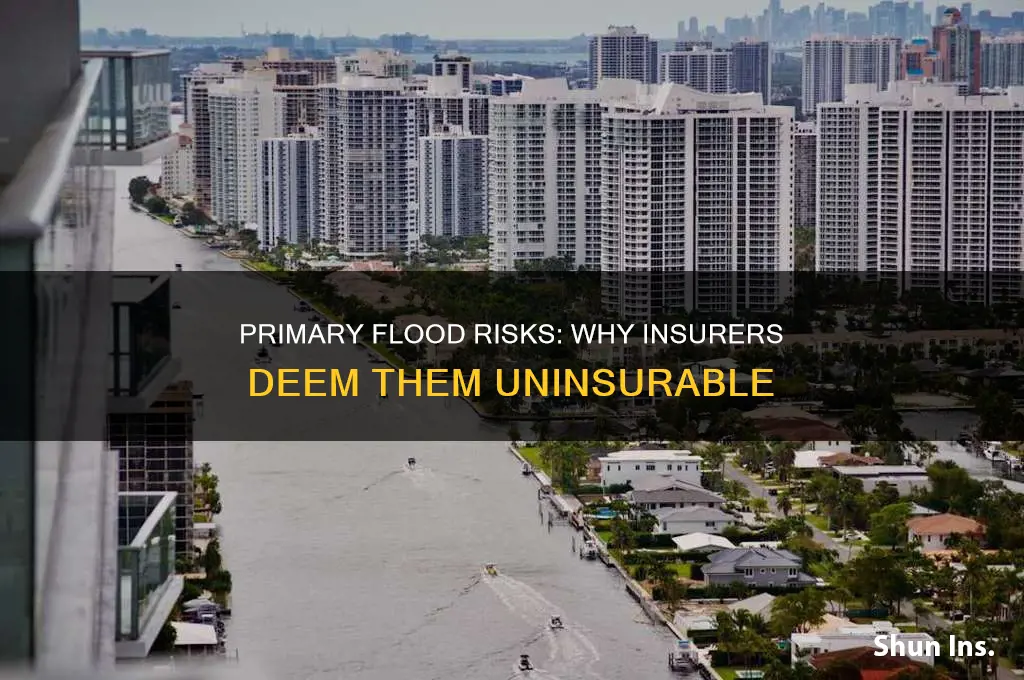 why do insurance companies consider primary flood uninsurable