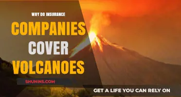 Why Insurance Companies Cover Volcanic Eruptions: Risks and Rewards