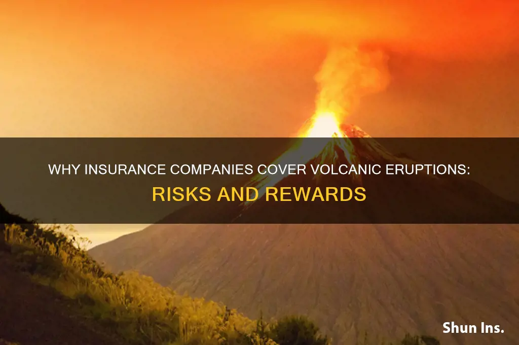 why do insurance companies cover volcanoes