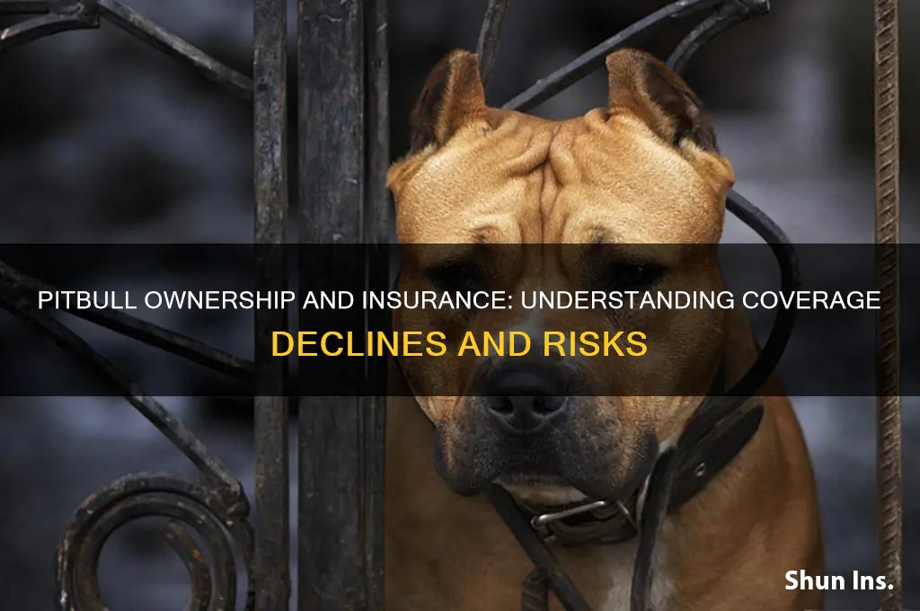 why do insurance companies decline coverage for pitbull owners