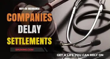 Why Insurance Companies Delay Settlements: Tactics and Consumer Impact