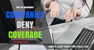 Why Insurance Companies Deny Coverage: Common Reasons and How to Fight Back