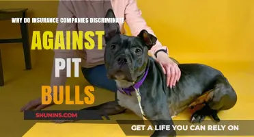 Pit Bull Prejudice: Uncovering Insurance Discrimination and Its Impact