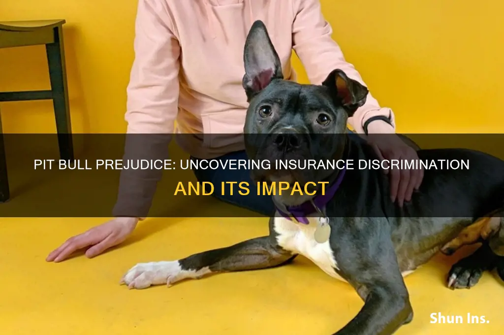 why do insurance companies discriminate against pit bulls