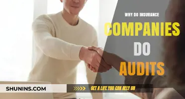 Why Insurance Companies Conduct Audits: Understanding the Process and Purpose