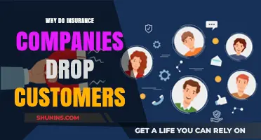 Why Insurance Companies Drop Customers: Key Reasons and What to Do
