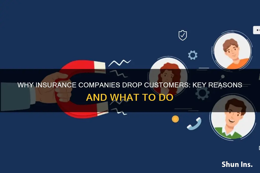 why do insurance companies drop customers