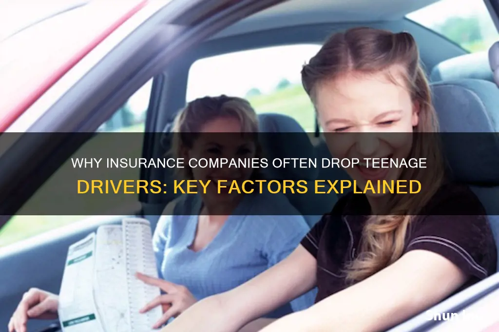 why do insurance companies drop teenate drivers