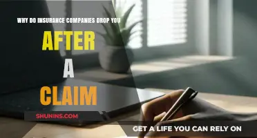 Why Insurance Companies Drop Policyholders After Filing a Claim