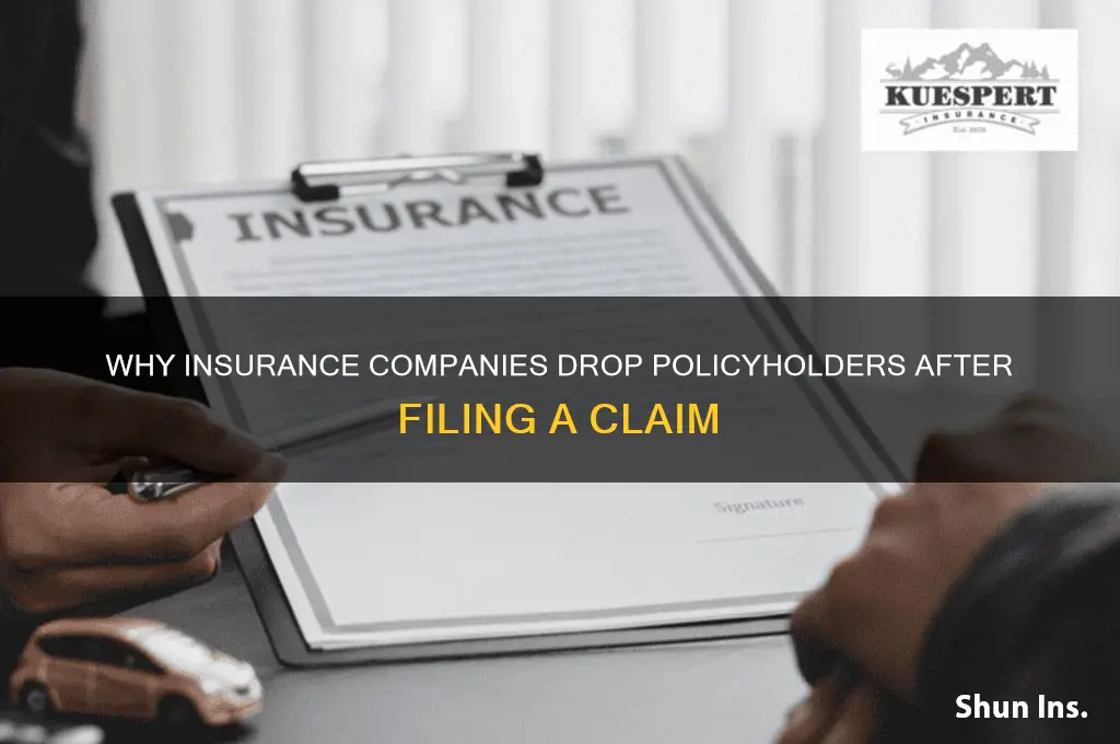 why do insurance companies drop you after a claim
