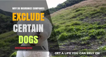 Why Insurance Companies Exclude Certain Dog Breeds: Unveiling the Risks