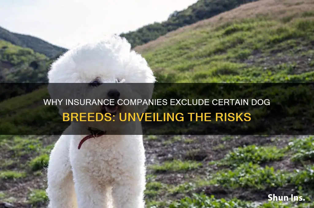 why do insurance companies exclude certain dogs