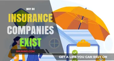 Why Insurance Companies Exist: Protecting Your Future and Managing Risks