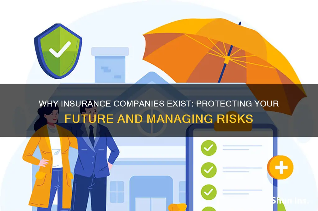 why do insurance companies exist