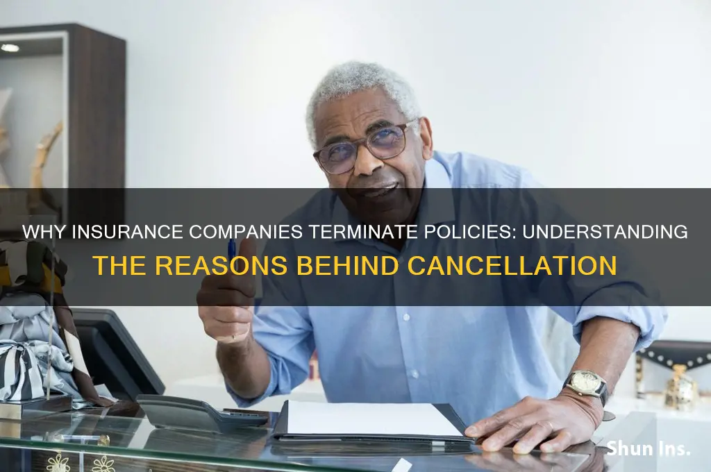 why do insurance companies fire you