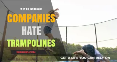 Why Trampolines Pose a Risk: Insurance Companies' Concerns Explained