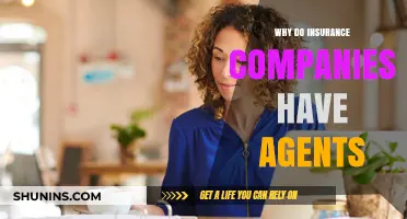 Why Insurance Companies Rely on Agents: Benefits and Insights