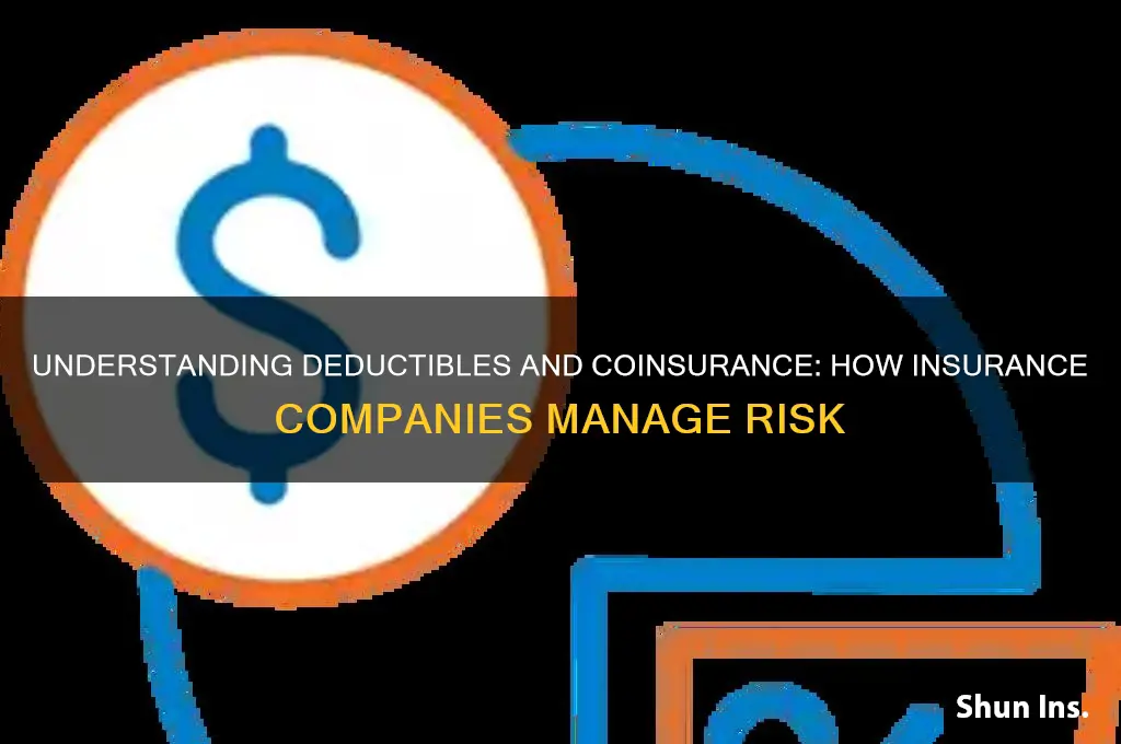 why do insurance companies have deductibles and coinsurance