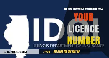Why Insurance Companies Need Your Driver's License Number: Explained