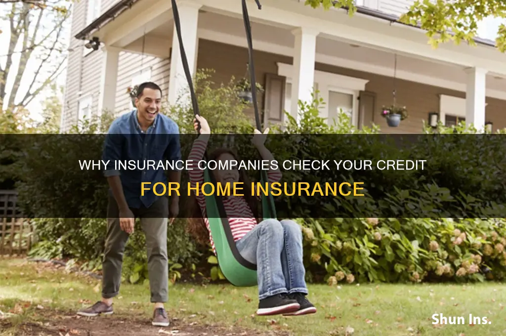 why do insurance companies home insurance check your credit