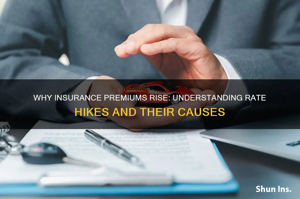 why do insurance companies increase rates