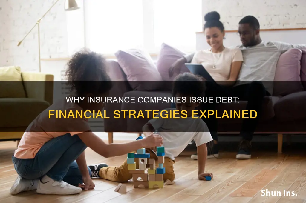 why do insurance companies issue debt