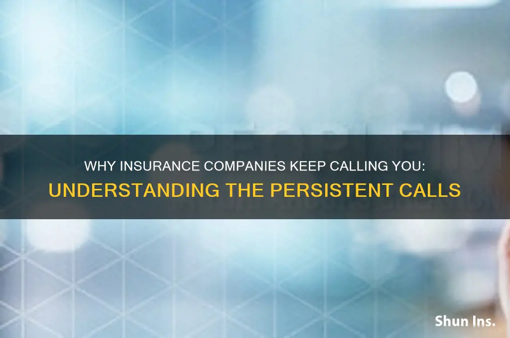 why do insurance companies keep calling me