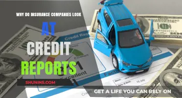 Why Insurance Companies Check Credit Reports: Understanding the Connection