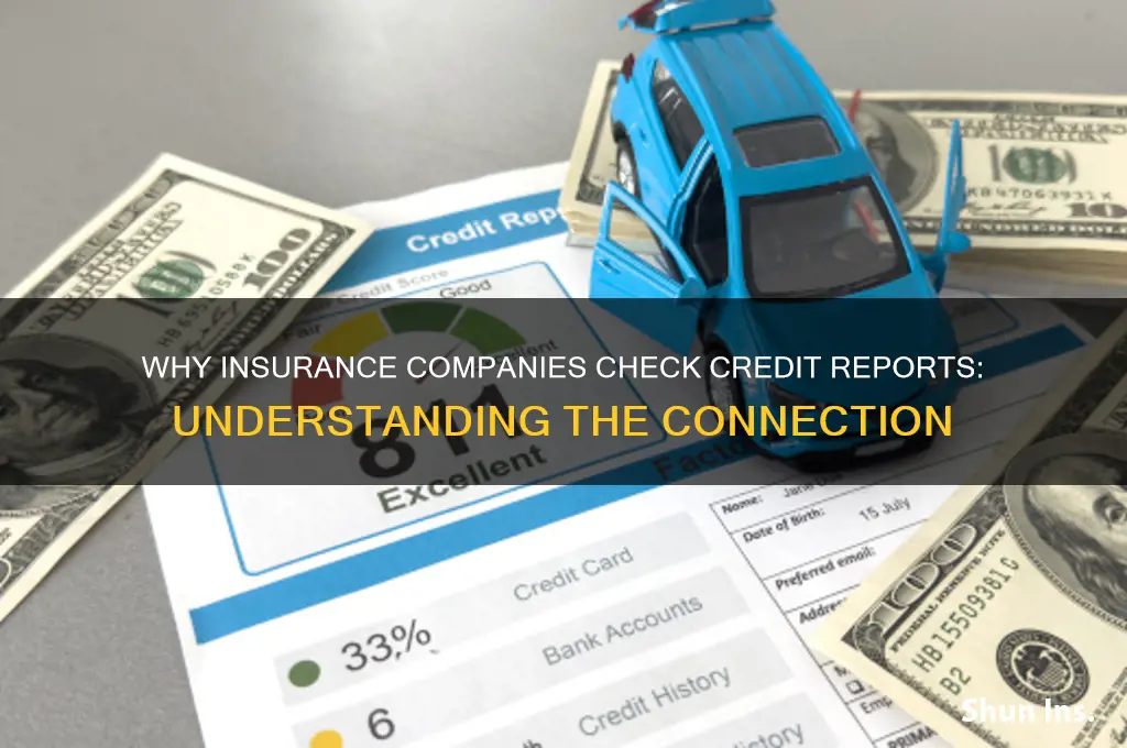 why do insurance companies look at credit reports