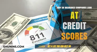 Why Credit Scores Matter to Insurance Companies: Uncovering the Connection