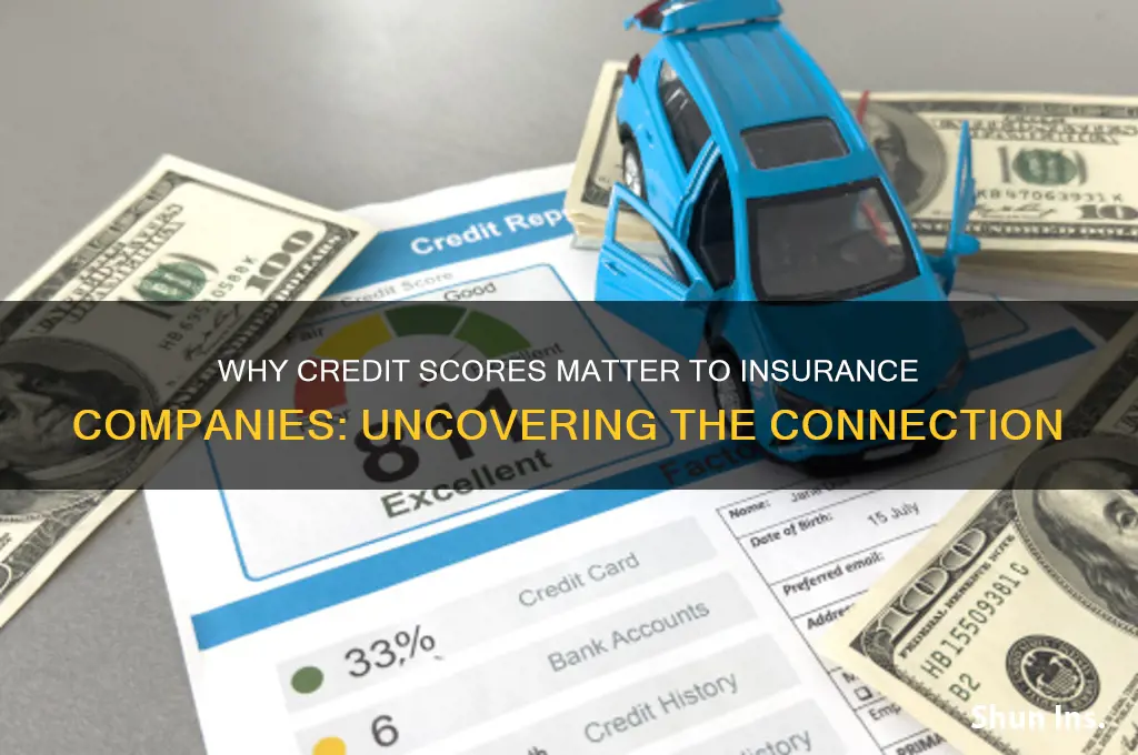 why do insurance companies look at credit scores
