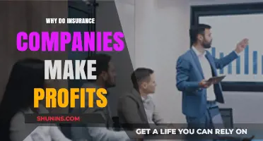 How Insurance Companies Generate Profits: A Comprehensive Analysis