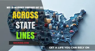 State Regulations: Why Insurance Companies Can't Sell Across State Lines