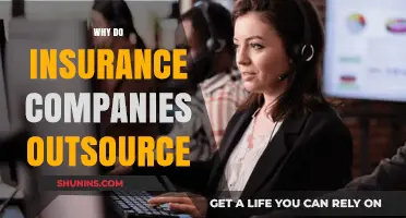 Why Insurance Companies Outsource: Cost Savings, Efficiency, and Expertise