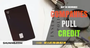 Why Insurance Companies Check Credit: Understanding the Connection