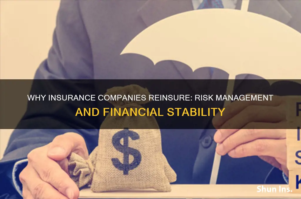 why do insurance companies reinsure a line