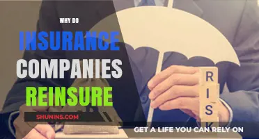 Why Insurance Companies Reinsure: Risk Mitigation and Financial Stability Explained
