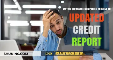 Why Insurance Companies Need Your Updated Credit Report Explained