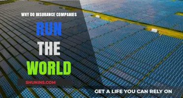 Insurance Giants: The Hidden Power Behind Global Economies and Politics