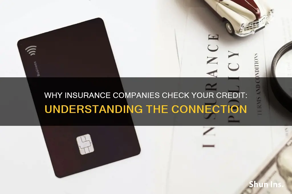 why do insurance companies run your credit