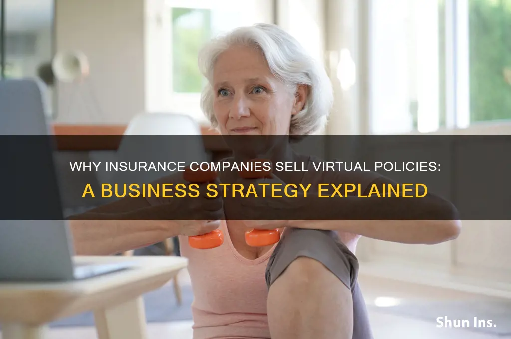 why do insurance companies sell you insurance virtual business question
