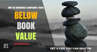 Why Insurance Companies Often Trade Below Book Value Explained