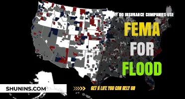 Why Insurance Companies Rely on FEMA for Flood Coverage