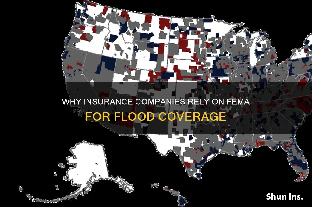 why do insurance companies use fema for flood